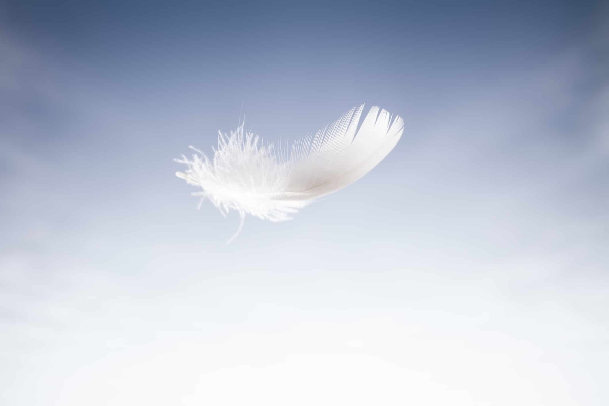 The Soft Side of SaaS Cloud Desktops Can Be the Most Powerful - Workspot